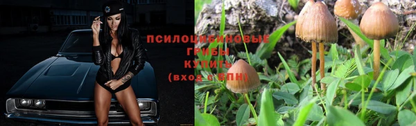 прущий лед Кодинск