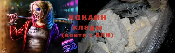дурь Козловка