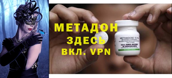 прущие грибы Корсаков