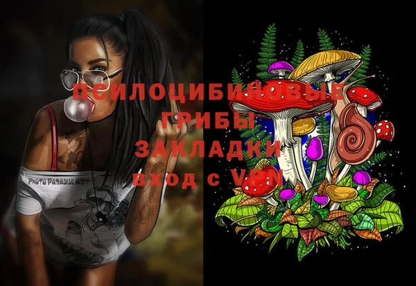 дурь Козловка