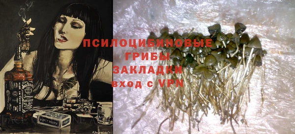 прущий лед Кодинск