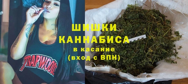 дурь Козловка