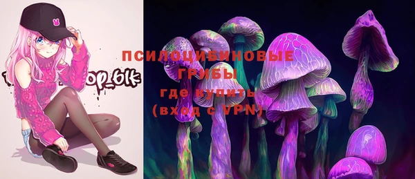 дурь Козловка