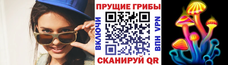 Псилоцибиновые грибы прущие грибы  Клинцы 
