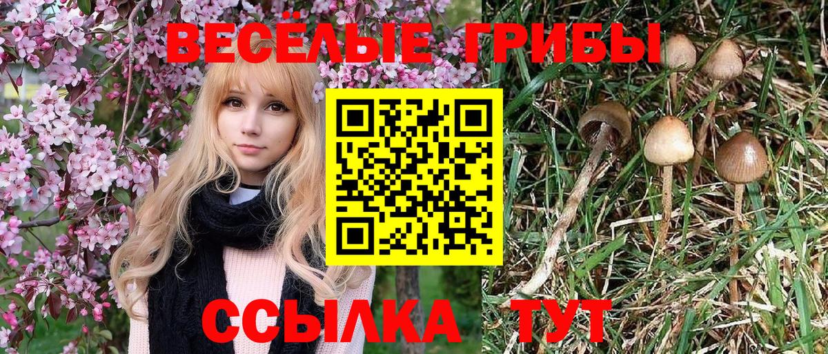 Галлюциногенные грибы мицелий Клинцы