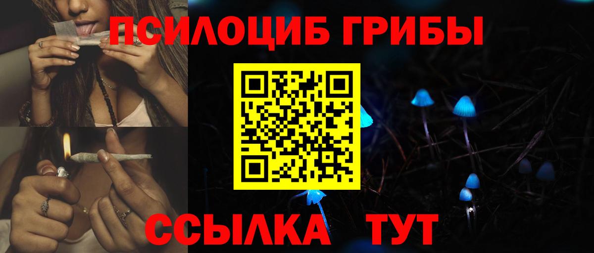 Галлюциногенные грибы GOLDEN TEACHER  Вход с VPN  Клинцы 